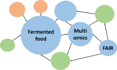 Logo Schema H2020 MSCA-DN Network