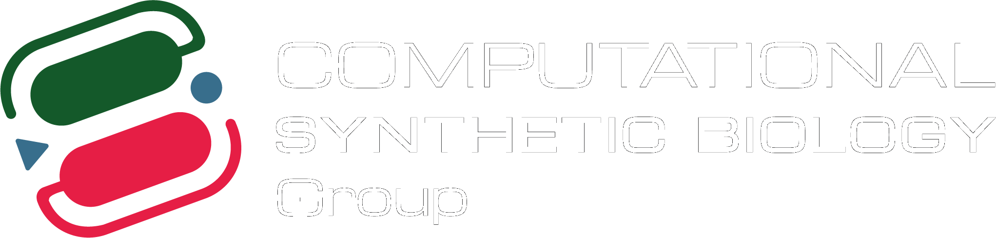 Computational Synthetic Biology Group Logo
